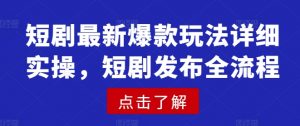 短剧最新爆款玩法详细实操，短剧发布全流程-氚客吧