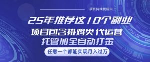25年推荐这10个副业项目包含褂鸡类、代运营托管类、全自动打金类【揭秘】-氚客吧