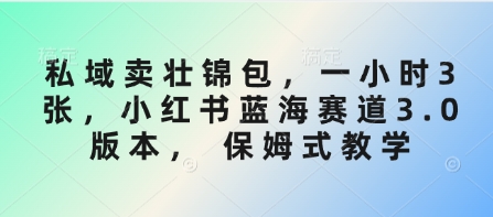 私域卖壮锦包，一小时3张，小红书蓝海赛道3.0版本， 保姆式教学-氚客吧