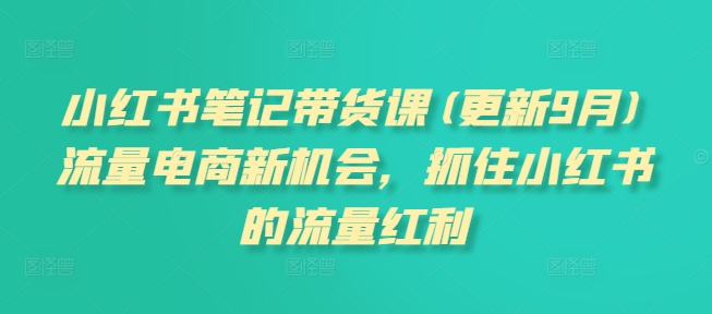 小红书笔记带货课(更新25年3月)流量电商新机会，抓住小红书的流量红利-氚客吧