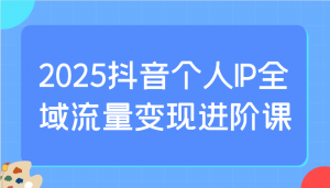 2025抖音个人IP全域流量变现进阶课：选爆品、抖音付费投流、千川投流实操及优化等-氚客吧