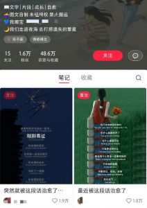 小红书治愈文案图文笔记，零门槛，一分钟制作轻松制作爆款作品月入万元-氚客吧