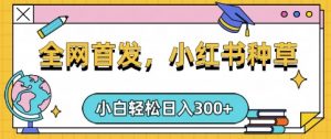 小红书种草，手机项目，日入3张，复制黏贴即可，可矩阵操作，动手不动脑【揭秘】-氚客吧