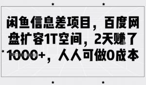 闲鱼信息差项目，百度网盘扩容1T空间，2天收益1k+，人人可做0成本-氚客吧