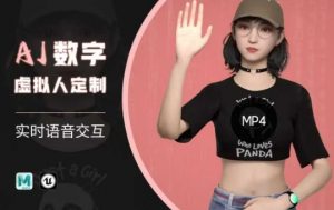 Ai数字人虚拟(智能体)实时语音交互特训营，​自行定制超写实角色AI数字人交互技术-氚客吧