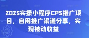 2025实操小程序CPS推广项目，自用推广渠道分享，实现被动收益-氚客吧