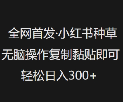 全网首发，小红书种草无脑操作，复制黏贴即可，轻松日入3张-氚客吧