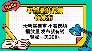 平台提供视频 你发布 无粉丝要求 不看视频播放量 发布就有钱 轻松一天300+-氚客吧