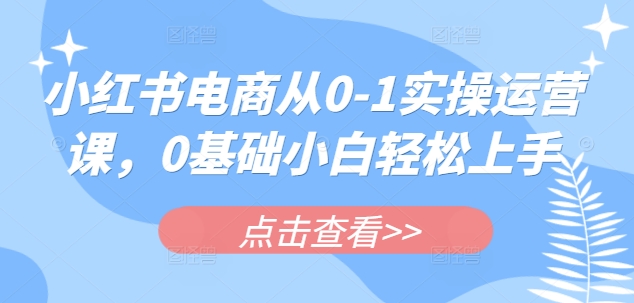 小红书电商从0-1实操运营课，0基础小白轻松上手-氚客吧