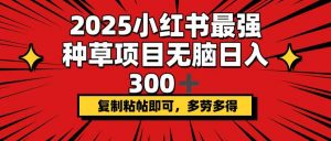 2025小红书最强种草项目，无脑日入300+，复制粘帖即可，多劳多得-氚客吧