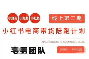 小红书电商带货课2期，月利润20个的小红书电商的有货源，无货源，虚拟产品，付费投流等整套玩法-氚客吧