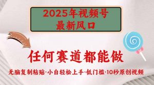 2025年视频号新风口，低门槛只需要无脑执行-氚客吧