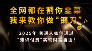全网都在割你韭菜，我来教你做镰刀,2025普通人如何通过知识付费，实现财F自由【揭秘】-氚客吧