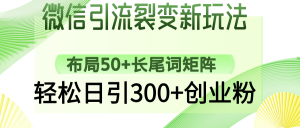 微信引流裂变新玩法：布局50+长尾词矩阵，轻松日引300+创业粉-氚客吧