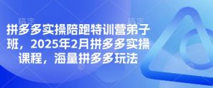 拼多多实操陪跑特训营弟子班，2025年2月拼多多实操课程，海量拼多多玩法-氚客吧