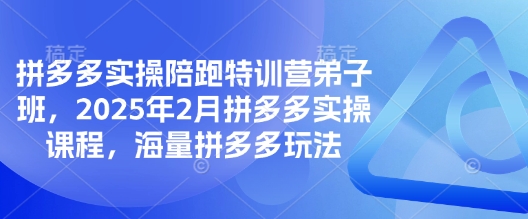 拼多多实操陪跑特训营弟子班，2025年2月拼多多实操课程，海量拼多多玩法-氚客吧