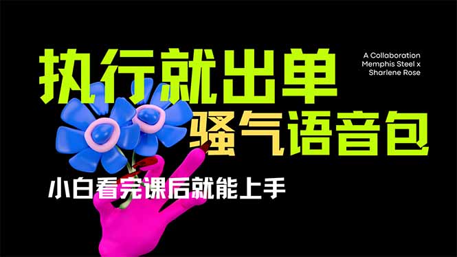 爆火全网的开车导航骚气语音包,只要执行就出单，小白看完课程就能实操…-氚客吧