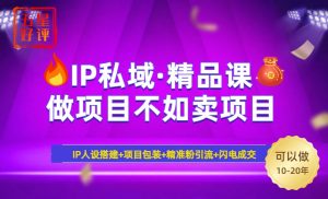 2025年“IP私域·密训精品课”，日赚3000+小白避坑年赚百万，暴力引流...-氚客吧