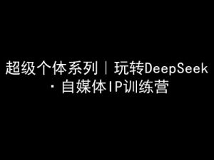 超级个体系列，玩转DeepSeek·自媒体IP训练营，deepseek教程-氚客吧