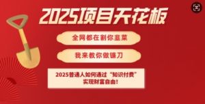 2025项目天花板普通人如何通过知识付费，实现财F自由【揭秘】-氚客吧
