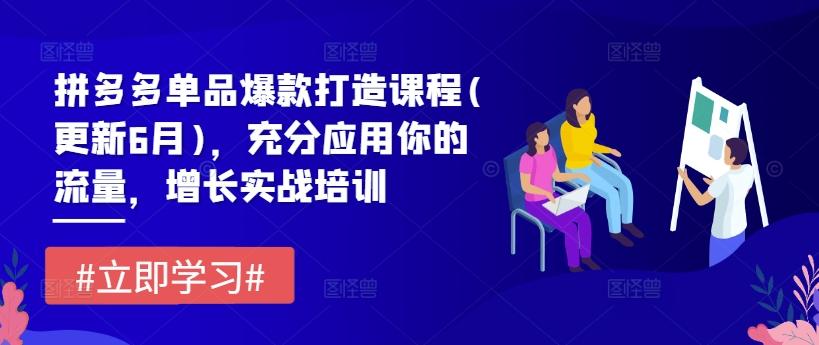 拼多多单品爆款打造课程(更新6月)，充分应用你的流量，增长实战培训-氚客吧