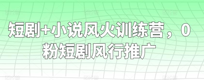 短剧+小说风火训练营，0粉短剧风行推广-氚客吧