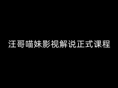 汪哥影视解说正式课程：剪映/PR教学/视解说剪辑5大黄金法则/全流程剪辑7把利器等等-氚客吧