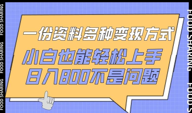 一份资料多种变现方式，小白也能轻松上手，日入800不是问题【揭秘】-氚客吧