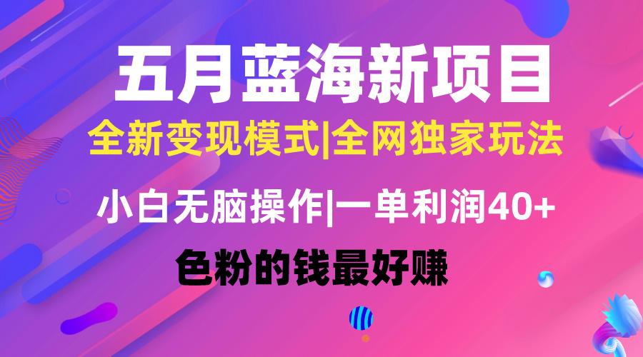 五月蓝海项目全新玩法，小白无脑操作，一天几分钟，矩阵操作，月入4万+-氚客吧