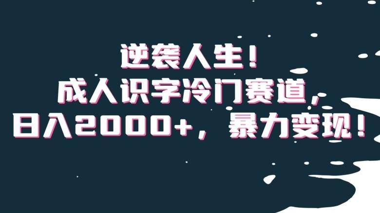 逆袭人生！成人识字冷门赛道，日入2000+，暴力变现！【揭秘】-氚客吧
