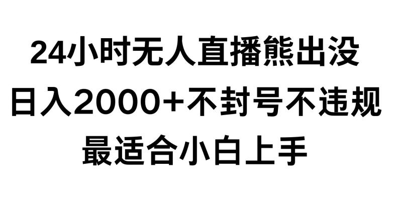 快手24小时无人直播熊出没，不封直播间，不违规，日入2000+，最适合小白上手，保姆式教学【揭秘】-氚客吧