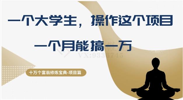 十万个富翁修炼宝典之4.一个大学生操作这个项目，一个月能搞一万-氚客吧