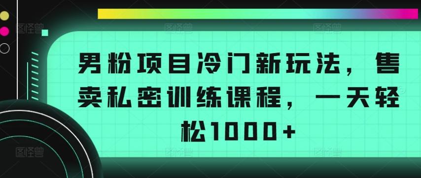 男粉项目冷门新玩法，售卖私密训练课程，一天轻松1000+【揭秘】-氚客吧