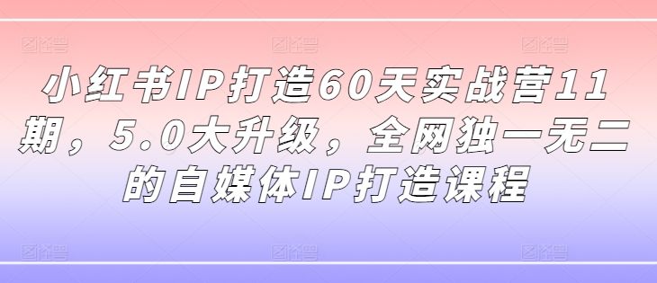 小红书IP打造60天实战营11期，5.0大升级，全网独一无二的自媒体IP打造课程-氚客吧