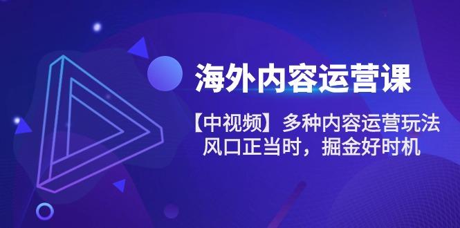 海外内容 运营课【中视频】多种内容运营玩法 风口正当时 掘金好时机-101节-氚客吧
