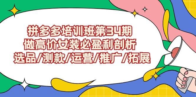 (9333期)拼多多培训班第34期：做高价女装必盈利剖析  选品/测款/运营/推广/拓展-氚客吧