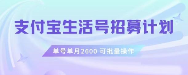 支付宝生活号作者招募计划，单号单月2600，可批量去做，工作室一人一个月轻松1w+【揭秘】-氚客吧