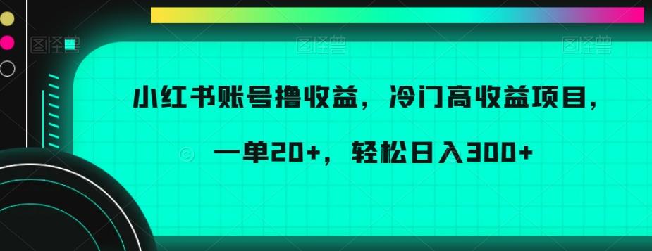 小红书账号撸收益，冷门高收益项目，一单20+，轻松日入300+【揭秘】-氚客吧