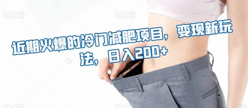 近期火爆的冷门减肥项目，变现新玩法，日入200+-氚客吧