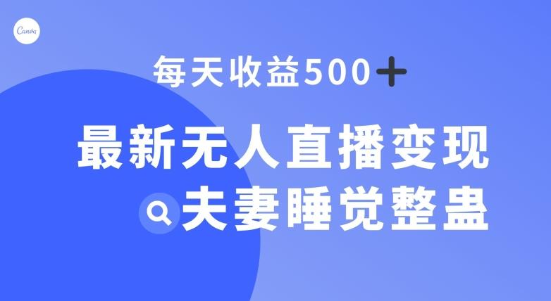 最新无人直播变现，夫妻睡觉整蛊，每天躺赚500+【揭秘】-氚客吧