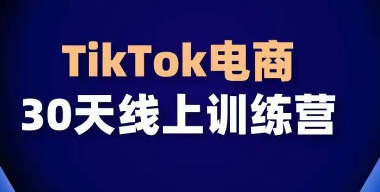 TikTok电商带货30天线上课，不可错过的全球流量洼地！-氚客吧