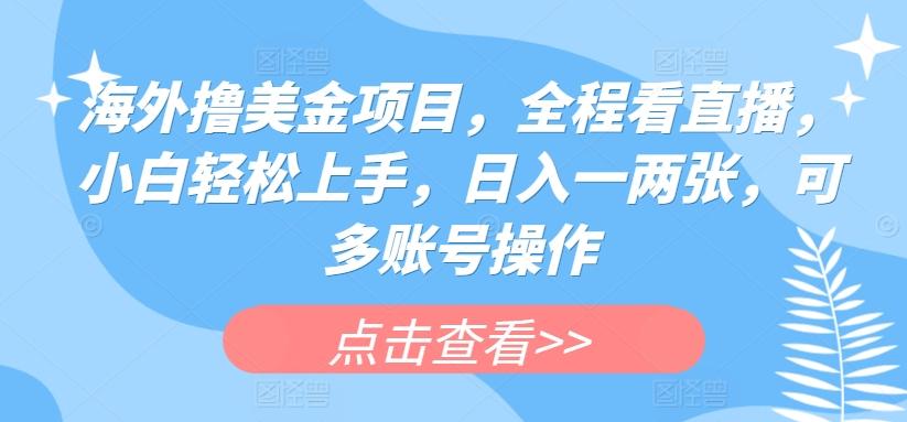 海外撸美金项目，全程看直播，小白轻松上手，日入一两张，可多账号操作【揭秘】-氚客吧