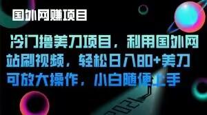 冷门撸美刀项目，利用国外网站刷视频，轻松日入80+美刀，可放大操作，小白随便上手-氚客吧