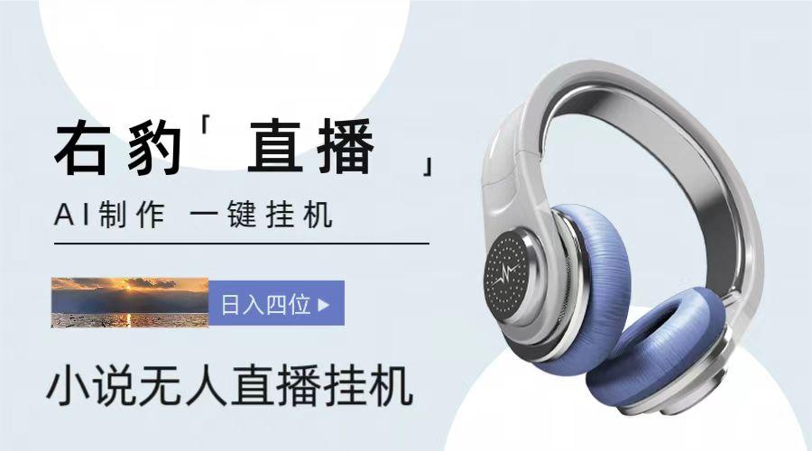 右豹小说无人直播挂机吸金项目，简单易行收益稳定， 月入1000+-氚客吧