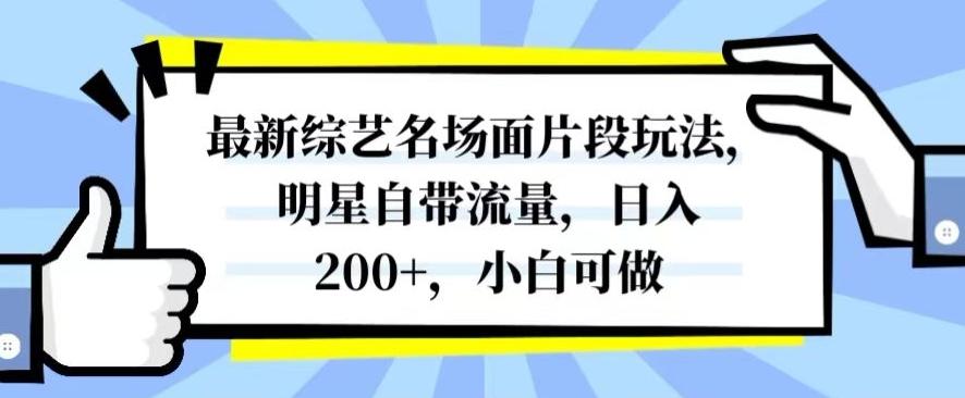 最新综艺名场面片段玩法，明星自带流量，日入200+，小白可做【揭秘】-氚客吧