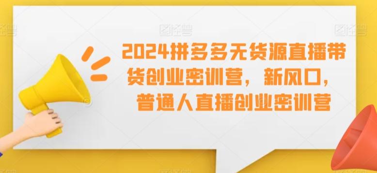 2024拼多多无货源直播带货创业密训营，新风口，普通人直播创业密训营-氚客吧