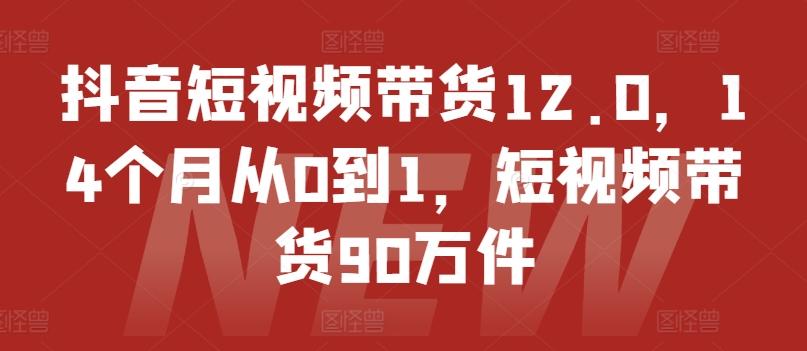 抖音短视频带货12.0，14个月从0到1，短视频带货90万件-氚客吧