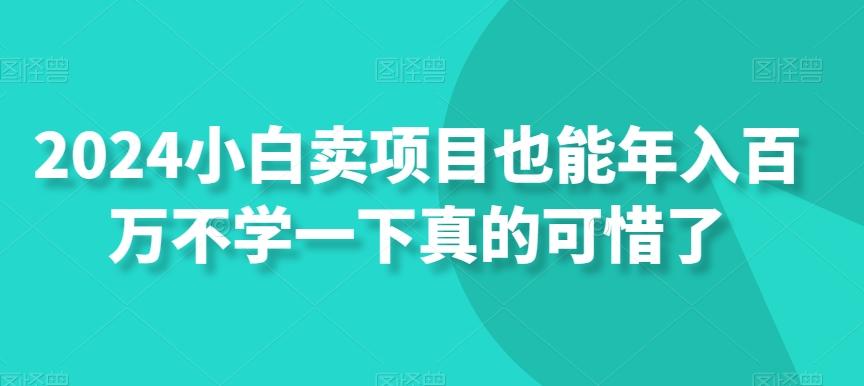 2024小白卖项目也能年入百万不学一下真的可惜了-氚客吧