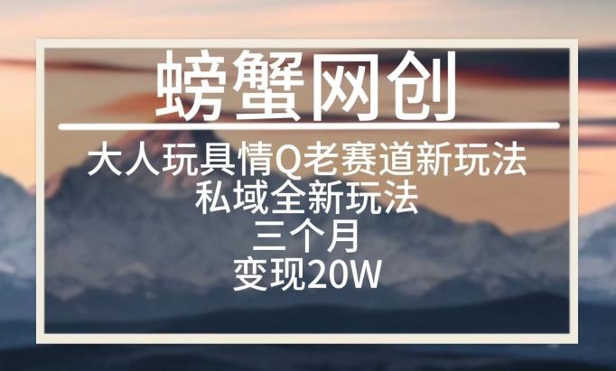 大人玩具情Q用品赛道私域全新玩法，三个月变现20W，老项目新思路【揭秘】-氚客吧