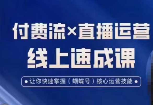 视频号付费流实操课程，付费流✖️直播运营速成课，让你快速掌握视频号核心运营技能-氚客吧